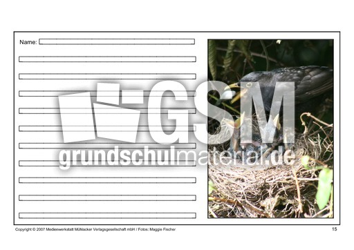 Amsel-eigene-Texte-15.pdf